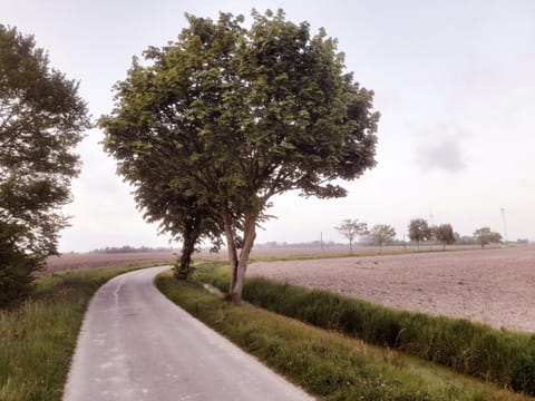 Übernachtung im Bauwagen an der Nordseeküste Apartment in Wittmund