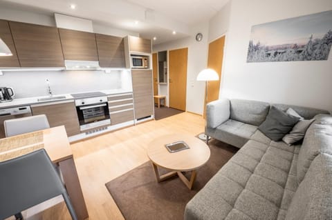Kitchen or kitchenette, Living room, Seating area, Dining area, oven, stove
