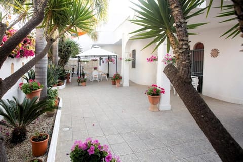 Property building, Garden, Garden view