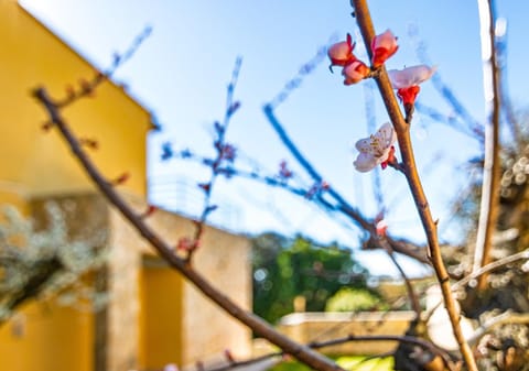 Marelì - magnifica villa con piscina Villa in Livorno