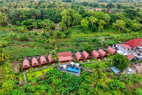 Natural landscape, Bird's eye view