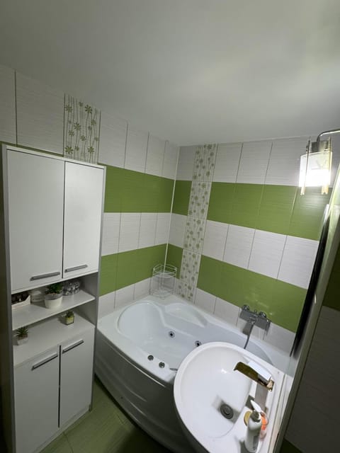 Smart apartment 2 rooms Apartment in Timisoara
