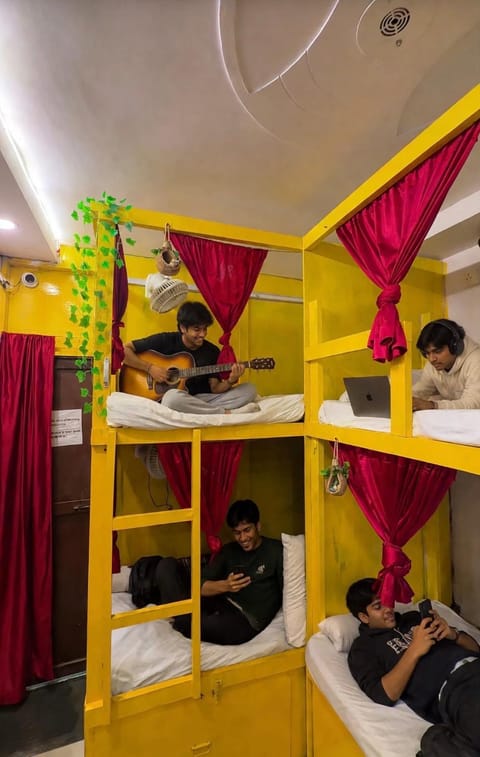 Bed, People, Photo of the whole room, group of guests, bunk bed