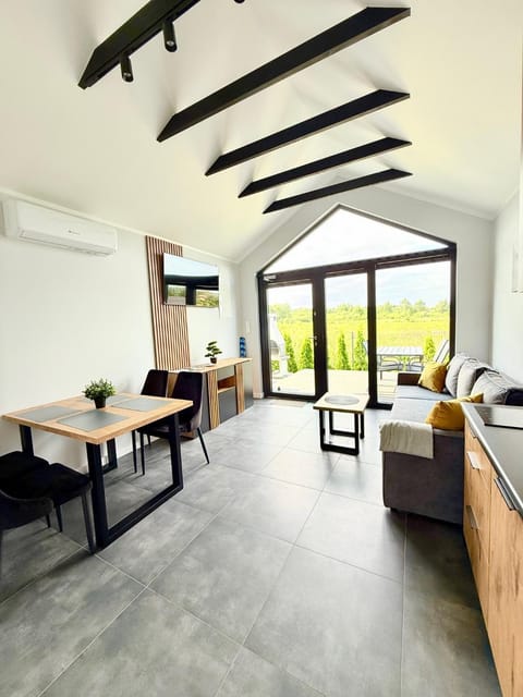 Kitchen or kitchenette, Living room, Seating area, Dining area, air conditioner, air conditioner