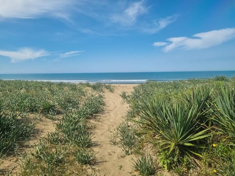 Beach, Sea view