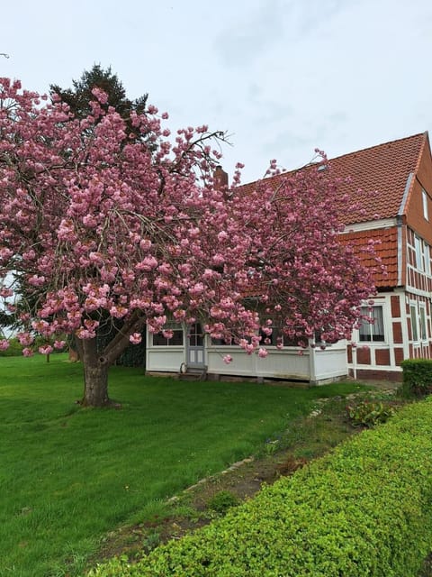 Gasthaus zur Grenze Country House in Cuxhaven