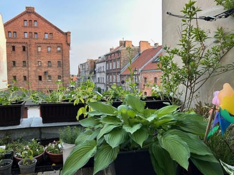 Apartamenty Smile Apartment in Pomeranian Voivodeship