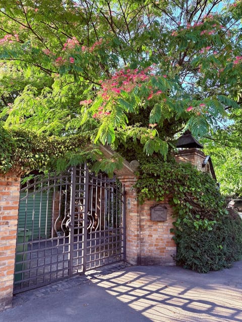 Spring, Day, Garden, Garden view