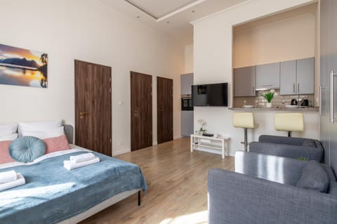 Bed, TV and multimedia, Kitchen or kitchenette, Living room, Seating area