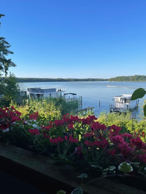 Lake view