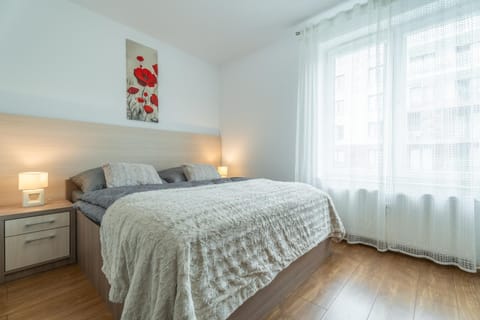 Amber Apartment in West Pomeranian Voivodeship, Poland