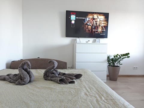TV and multimedia, Photo of the whole room, Bedroom, towels