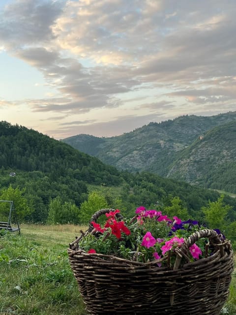 Brvnare Puljci 2 House in Zlatibor District, Serbia
