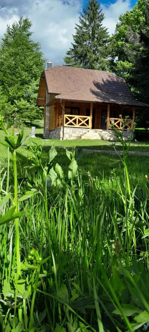 Brvnara Smrčica House in Zlatibor District, Serbia