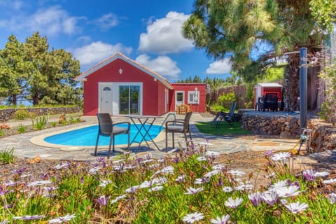 Property building, Spring, Day, Natural landscape, Garden, Garden view, Pool view, Swimming pool, sunbed