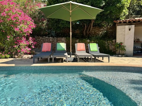 Garden, Swimming pool, Swimming pool, sunbed