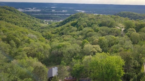Driftless Cabin - Sauna, Firepit, BBQ Cabin in Iowa