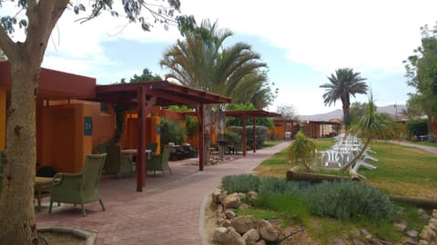 Natural landscape, Garden, Garden view