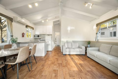 Kitchen or kitchenette, Living room, Seating area, Dining area, oven, stove