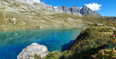 Casa Greina B&B Bed and Breakfast in Canton of Grisons