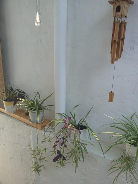 Alanis Bed and Breakfast in Dubrovnik-Neretva County