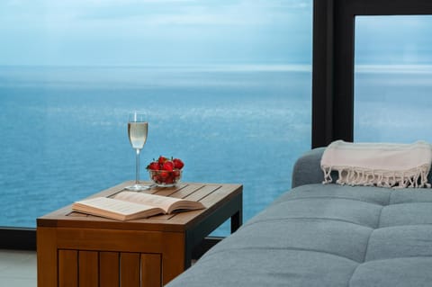 Natural landscape, Living room, Seating area, Sea view