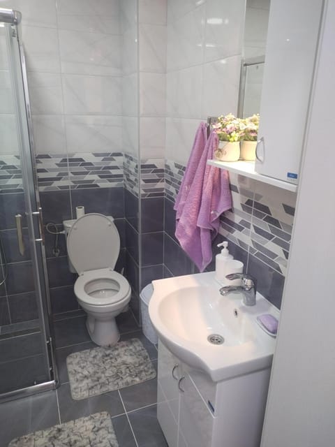 Banjski kutak Apartment in Serbia