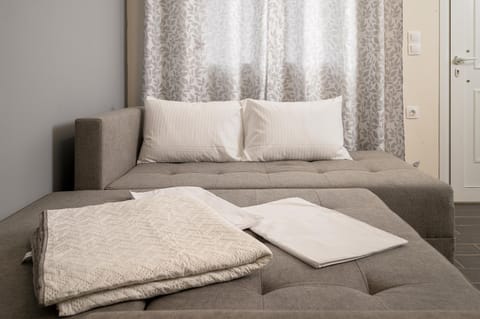 Bed, Living room, Photo of the whole room