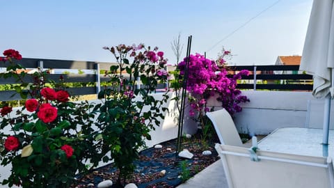 Nikiti Family House House in Nikiti