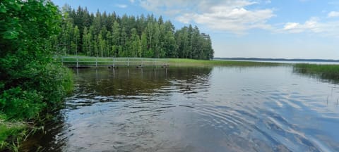 Natural landscape, Lake view