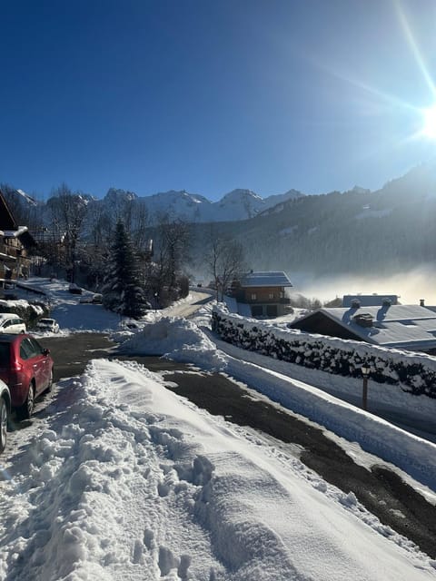 Winter, Mountain view