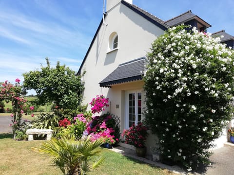 Property building, Spring, Garden