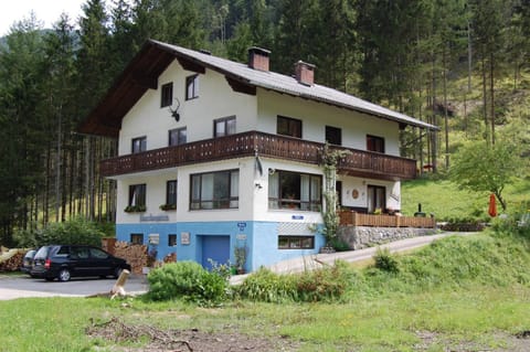 Property building, Summer