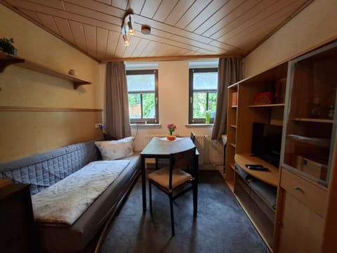 Bed, Living room, Photo of the whole room, Seating area, Dining area, Bedroom