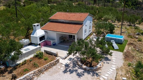 Natural landscape, Garden, Swimming pool, sunbed