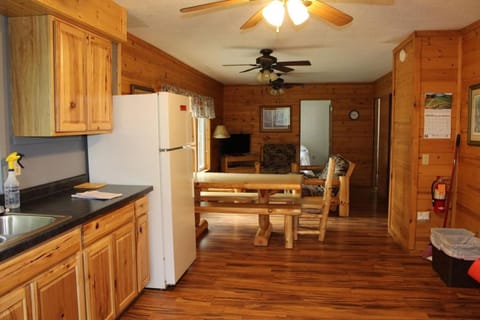 Cabin10 - Poolside Cabin with a lake view and great fishing Cabin in Minnesota