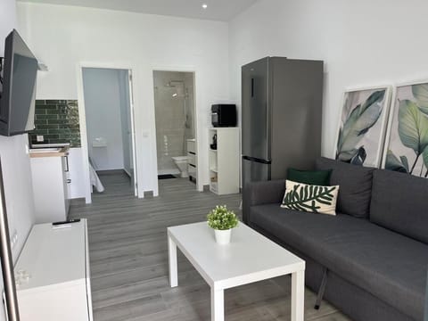 TV and multimedia, Kitchen or kitchenette, Living room, air conditioner