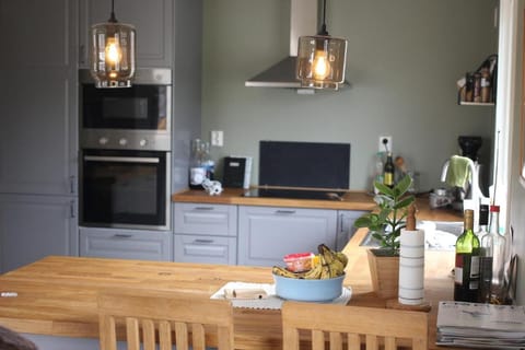 Large house in the middle of Lofoten Villa in Lofoten