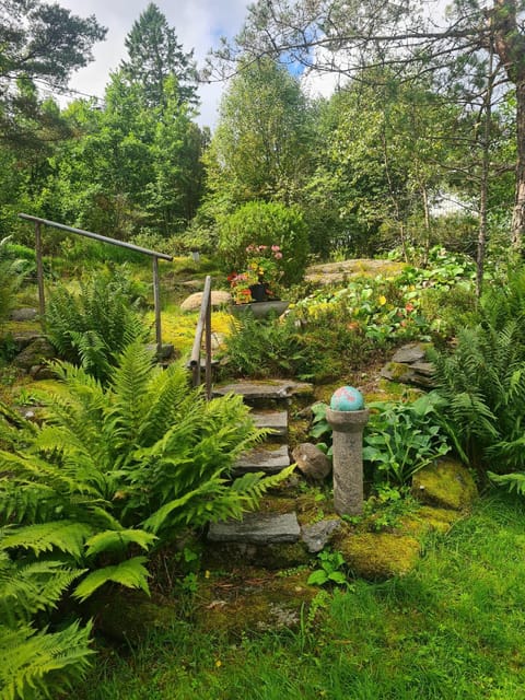 Patio, Balcony/Terrace
