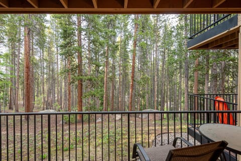 Beaver Village 1712 - Nicely Updated, 2 Queens Plus 2 Twins, Pool, Hot Tubs, Sauna Apartment in Fraser