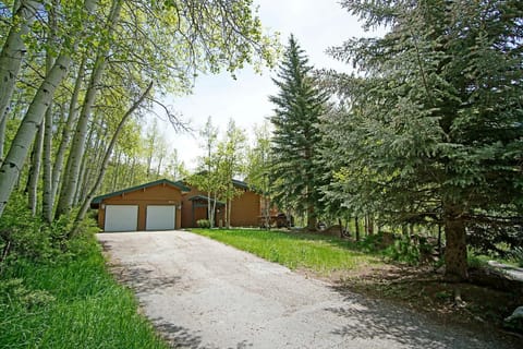 Private Hot Tub, Pet Friendly, 2 Living Rooms, Kitchen Plus Kitchenette, On Shuttle Route House in Vail