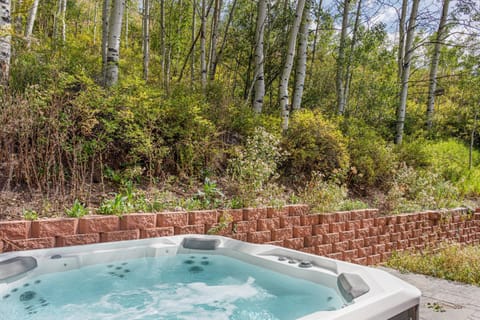 Private Hot Tub, Pet Friendly, 2 Living Rooms, Kitchen Plus Kitchenette, On Shuttle Route House in Vail
