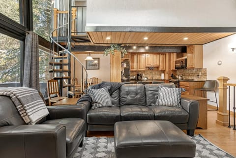 2 Bedroom Plus Loft, Right on Gore Creek, Free Bus Route, New Listing House in Vail