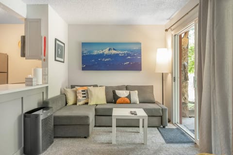 Great Creek Views, Pet Friendly, Workspace, On Free Bus Route Apartment in Vail