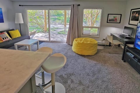 Great Creek Views, Pet Friendly, Workspace, On Free Bus Route Apartment in Vail