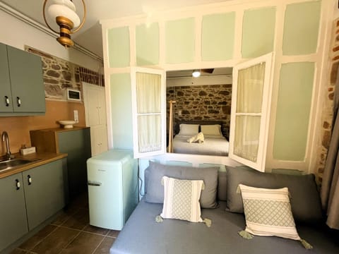 Bed, Kitchen or kitchenette, Living room, Photo of the whole room, Seating area, Bedroom