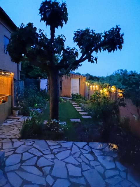 Night, Garden