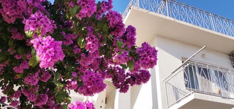Property building, Balcony/Terrace