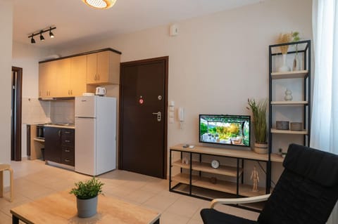 TV and multimedia, Kitchen or kitchenette, Living room, Photo of the whole room, Seating area, internet