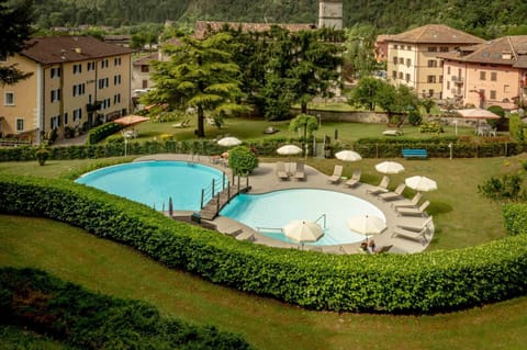 Garden, Pool view, Swimming pool